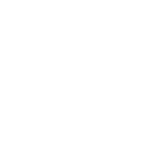 Reconditioned Honda Engines